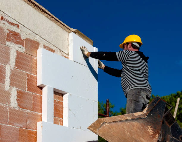 Best Insulation Maintenance and Repair in Buda, TX