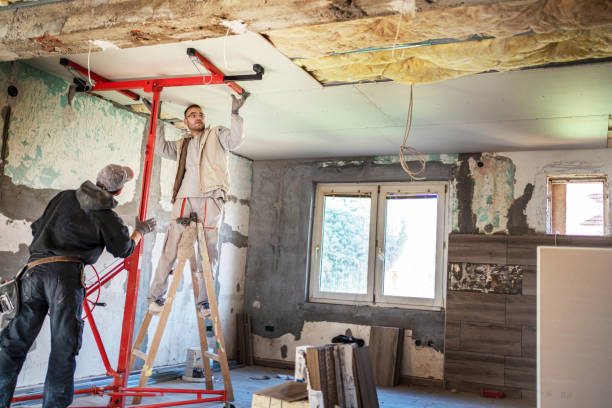 Professional Insulation Contractor in Buda, TX
